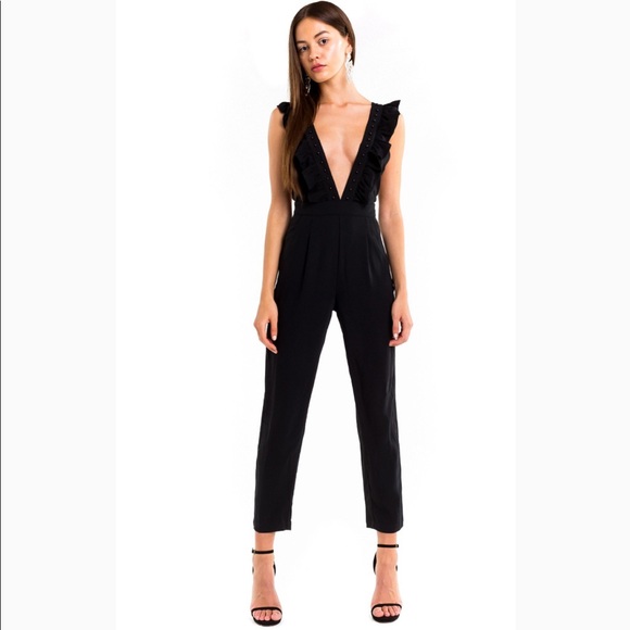 Wildfox Pants - NTW Wildfox Davos Deep V Jumpsuit ✨